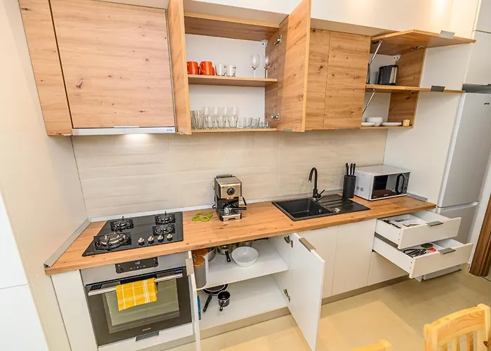 Apartment Isaran 2d4e Brasov